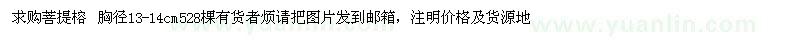 求購胸徑13-14公分菩提榕