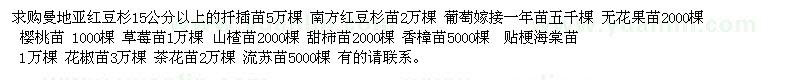 求購曼地亞紅豆杉、南方紅豆杉苗、櫻桃苗、山楂苗等