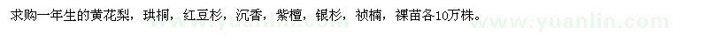 求購(gòu)一年生黃花梨、珙桐、紅豆杉