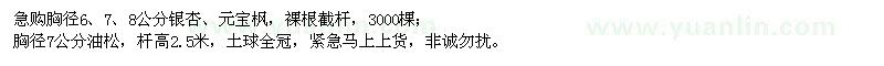 求購銀杏、元寶楓、油松