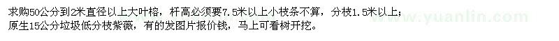 求購(gòu)大葉榕、紫薇