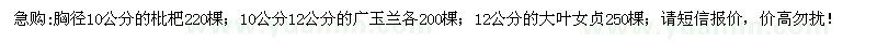 求購(gòu)枇杷、廣玉蘭、大葉女貞