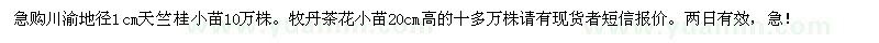 求購(gòu)天竺桂、牡丹茶花