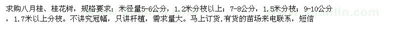 求購5-10公分八月桂、桂花樹