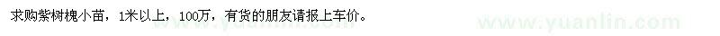 求購(gòu)1米以上紫樹槐小苗