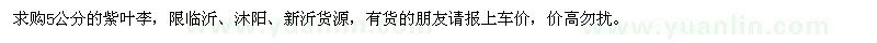 求購(gòu)5公分紫葉李