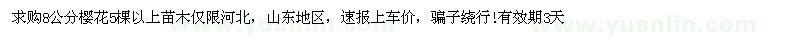 求購8公分櫻花
