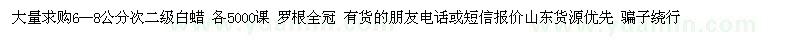 求購白蠟