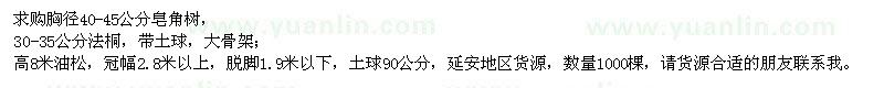 求購皂角樹、法桐、油松