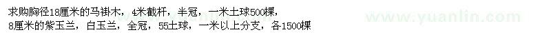 求購馬褂木、紫玉蘭、白玉蘭
