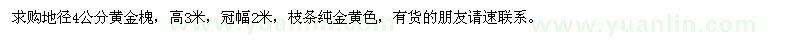 求購(gòu)地徑4公分黃金槐