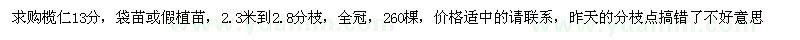 求購13公分小葉欖仁