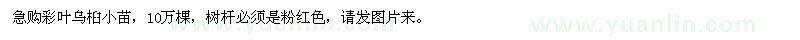 求購(gòu)彩葉烏桕小苗
