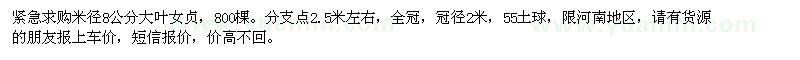 求購8公分大葉女貞