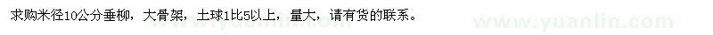 求購米徑10公分垂柳