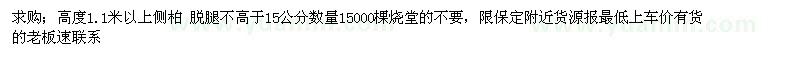 求購高1.1米以上側(cè)柏