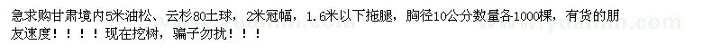 求購5米油松、云杉 