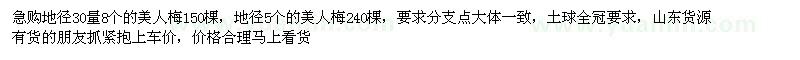 求購5、8公分美人梅