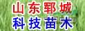 7公分白蠟-白蠟價格-供應(yīng)量大