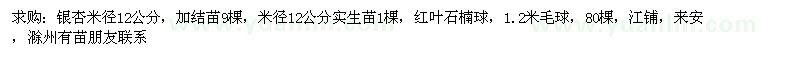 求購米徑12公分銀杏