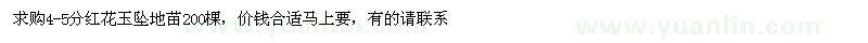 求購(gòu)4-5公分紅花玉墜地苗
