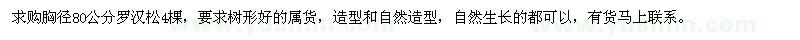 求購胸徑80公分羅漢松