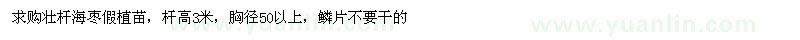 求購(gòu)桿高3米海棗假植苗