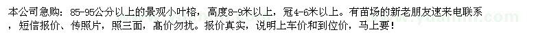 求購多棵80公分小葉榕（景觀榕）