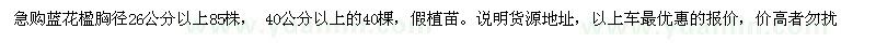 求購胸徑26、40公分以上藍(lán)花楹