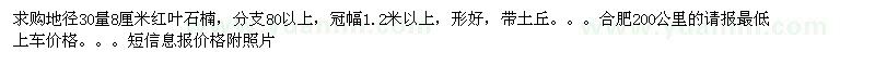 求購地徑30量8厘米紅葉石楠