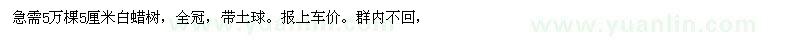 求購5萬棵5厘米白蠟樹