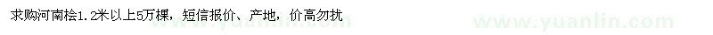 求購1.2米以上河南檜
