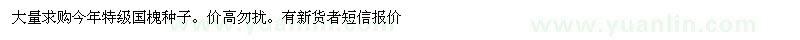 求購國槐種子