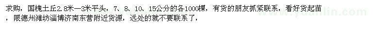 求購7、8、10、15公分國槐