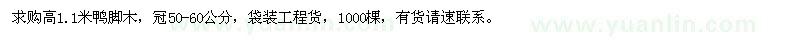 求購高1.1米鴨腳木