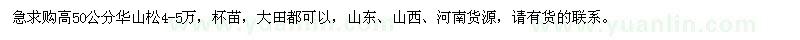 求購(gòu)高50公分華山松