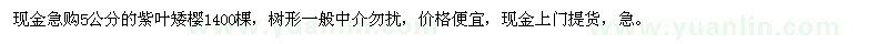 求購5公分紫葉矮櫻