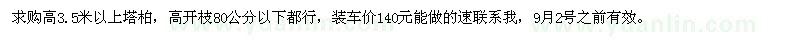 求購高3.5米以上塔柏