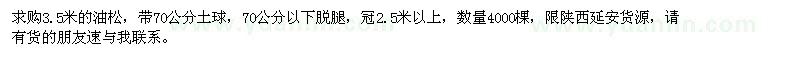 求購3.5米油松