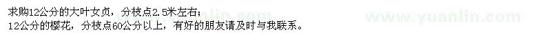 求購12公分大葉女貞、櫻花