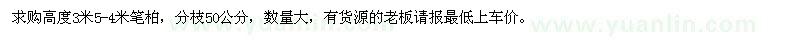 求購高3.5-4米筆柏