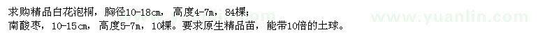求購精品白花泡桐、南酸棗