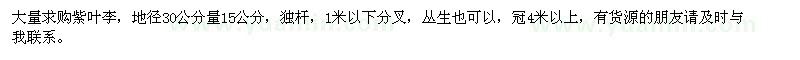 求購(gòu)地徑30公分量15公分紫葉李