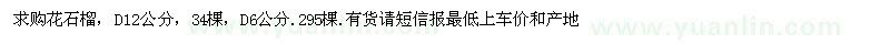 求購地徑6、12公分花石榴