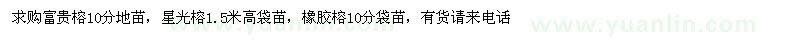 求購富貴榕、星光榕、橡膠榕