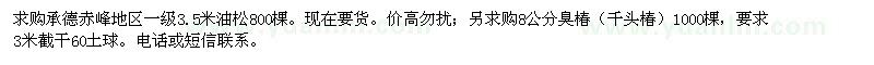 求購(gòu)油松、臭椿、千頭椿