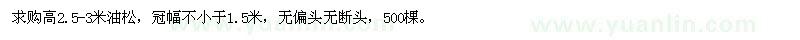 求購(gòu)高2.5-3米油松