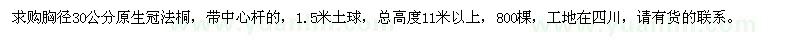 求購胸徑30公分原生冠法桐