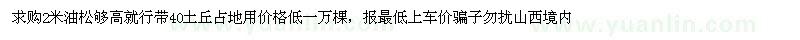 求購2米油松