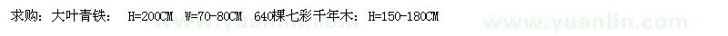求購大葉青鐵